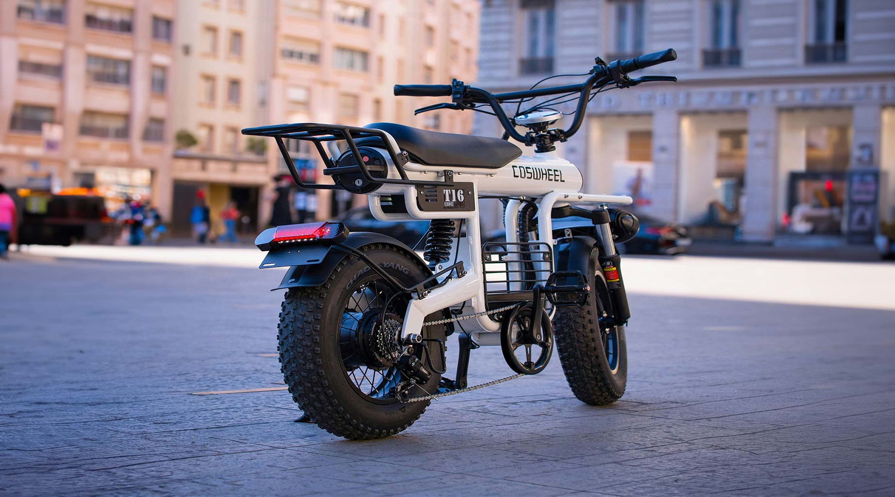 electric-bike-features-4 electric-bike-features-4