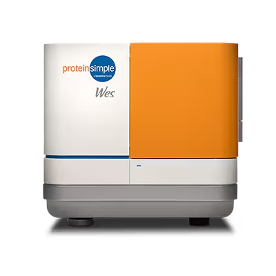 Wes (004-600) by ProteinSimple, Part of Bio-Techne